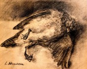 Nature morte à l'oiseau par Louise Hervieu